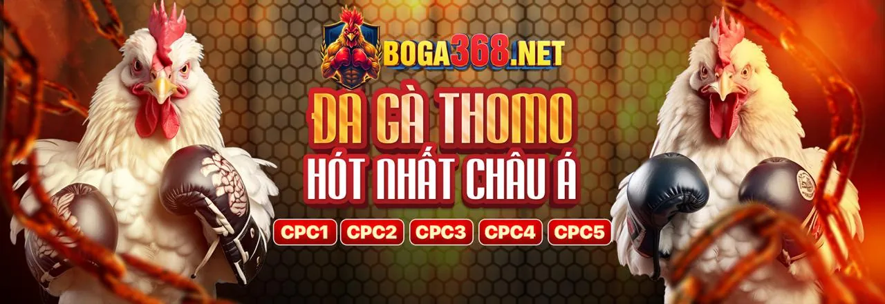 Biểu đồ phân tích hiệu suất tv8806